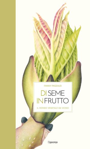 DI SEME IN FRUTTO. IL MONDO VEGETALE DA